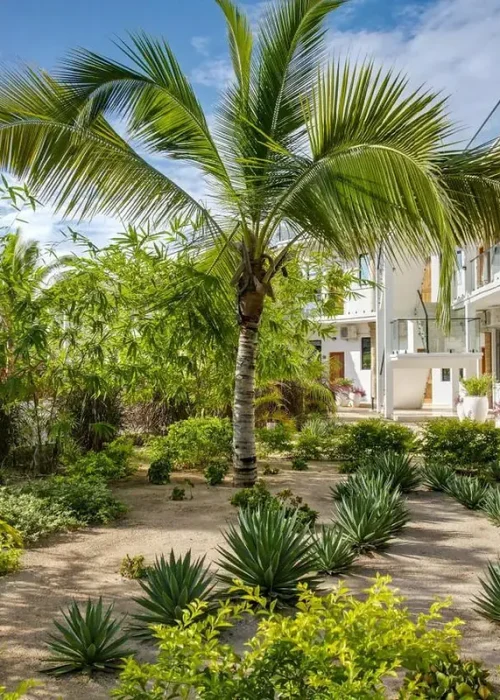 the-one-resort-zanzibar-obiekt-1527861248-1200-800